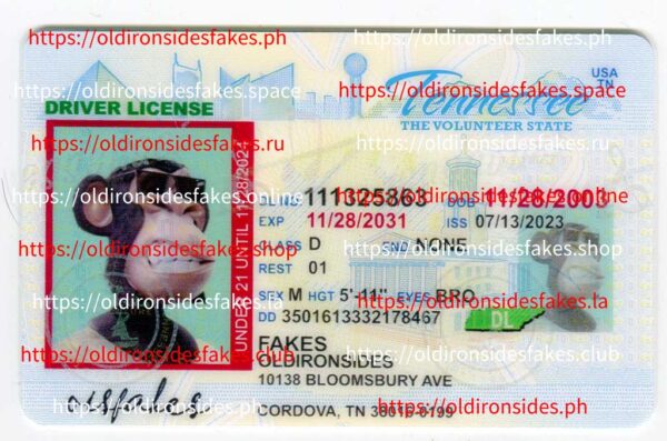 Tennessee Driver License(TN U21)