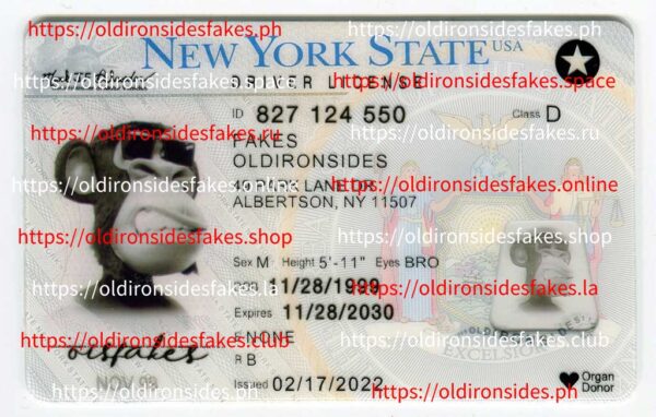 New York Driver License(NY O21 2020)
