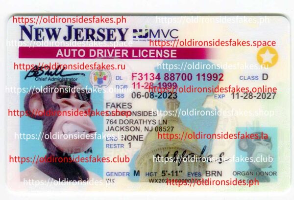 New Jersey Driver License(NJ 2021)