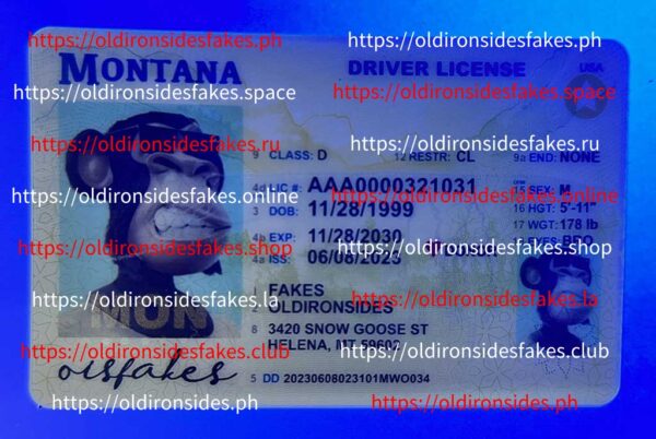 Montana Driver License(MT) - Image 3